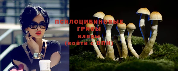 амф Балахна