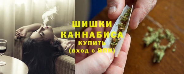 дживик Богородск