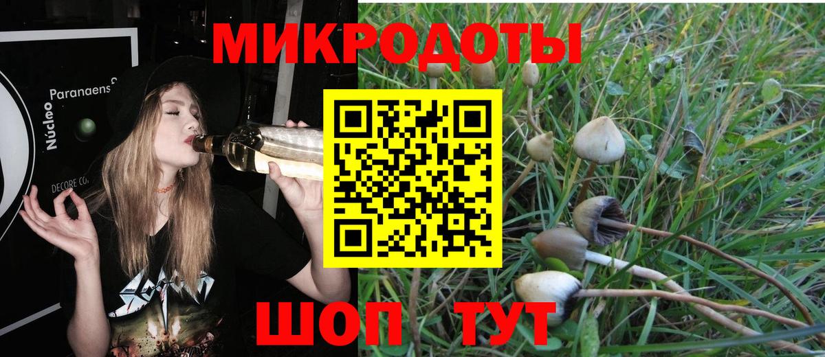 Псилоцибиновые грибы прущие грибы Новомосковск