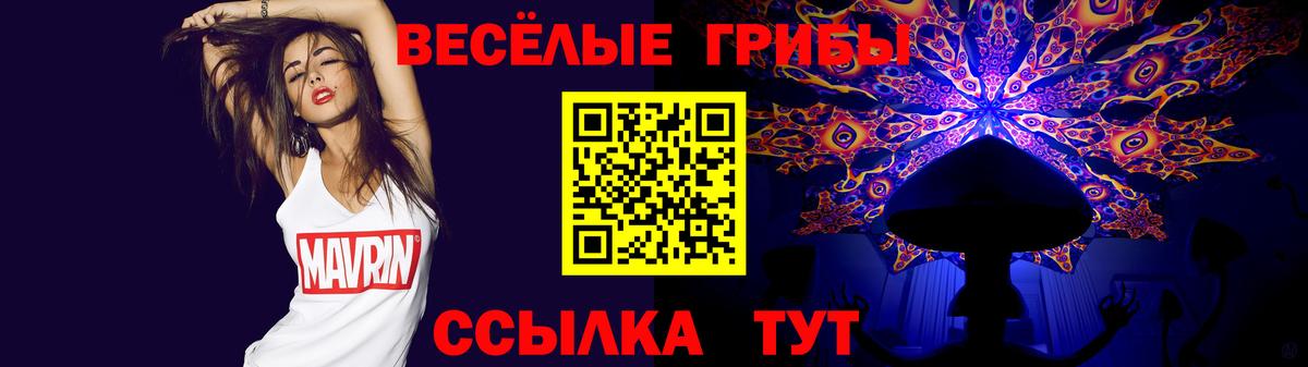 Псилоцибиновые грибы Cubensis  Вход с VPN  Новомосковск 